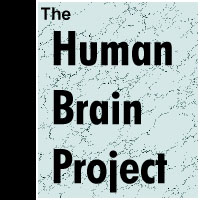 The Human Brain Project